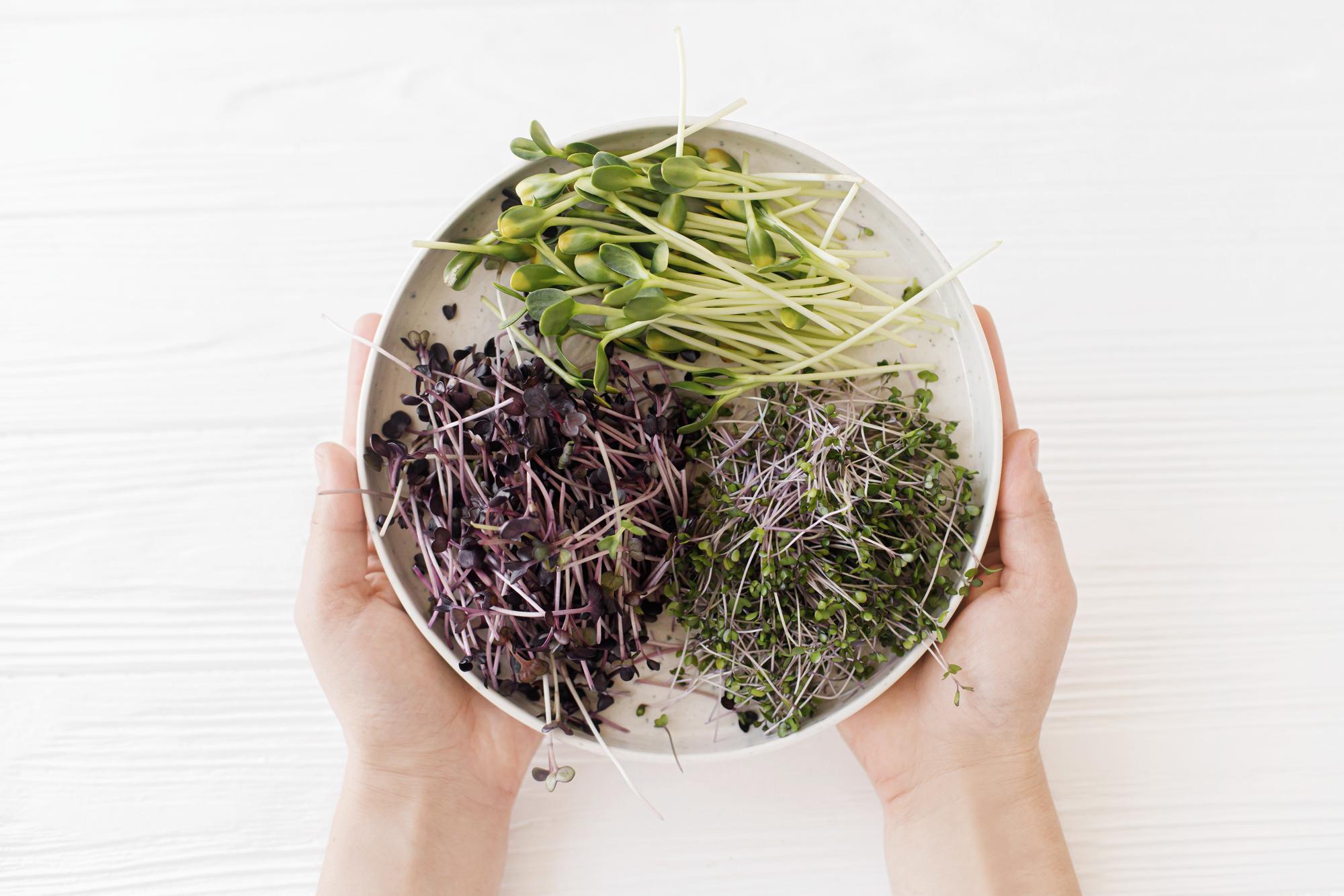 Hand arranging garnish on plate